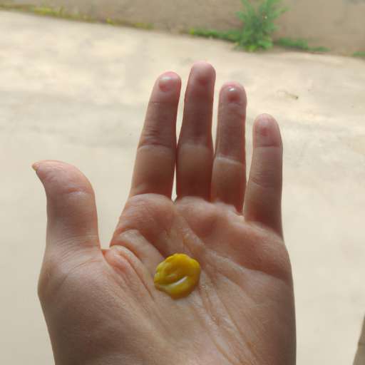 the desire and pursuit of the whole