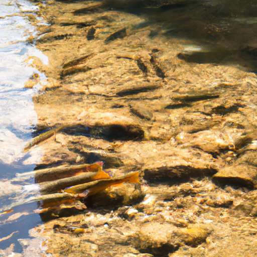 A river or stream, with fish and other aquatic life swimming in it. This could highlight the importance of clean water to the health of ecosystems.